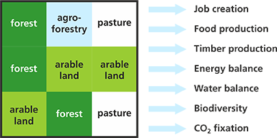 Ecosystem services